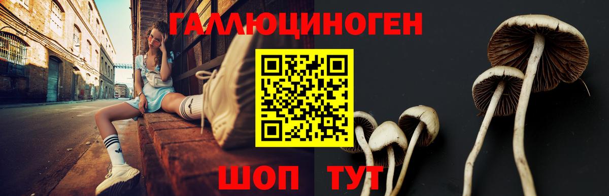 продажа наркотиков  Вход с VPN  Иваново  Галлюциногенные грибы MAGIC MUSHROOMS 